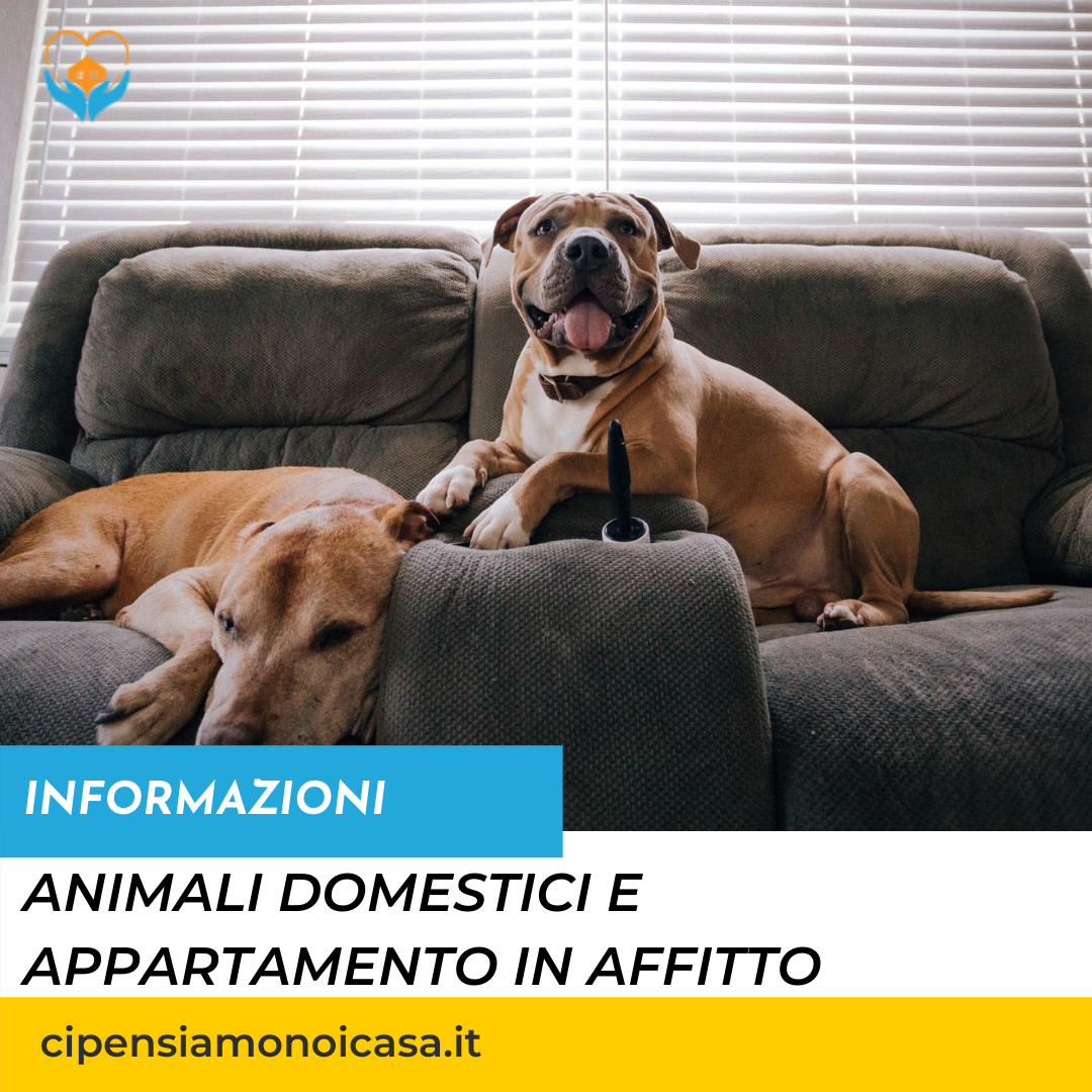 Animali in condominio